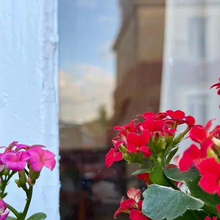 Chateau De Belleaucourt 3* Coulommes-la-Montagne