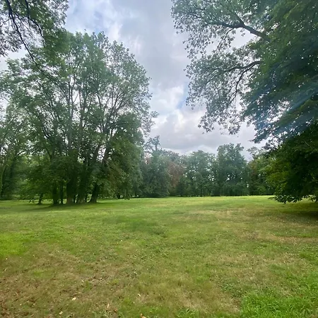 Chateau De Belleaucourt ベッド・アンド・ブレックファスト Coulommes-la-Montagne