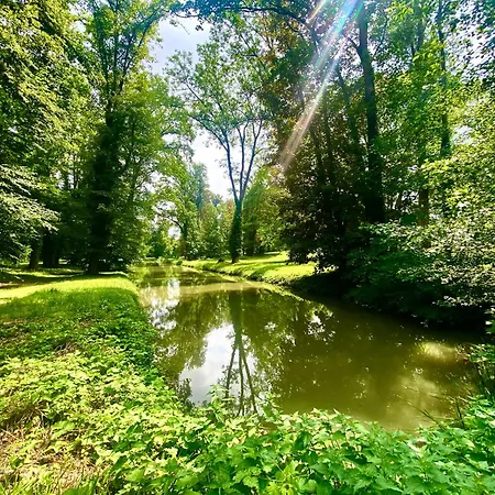 Bed & Breakfast Chateau De Belleaucourt Coulommes-la-Montagne
